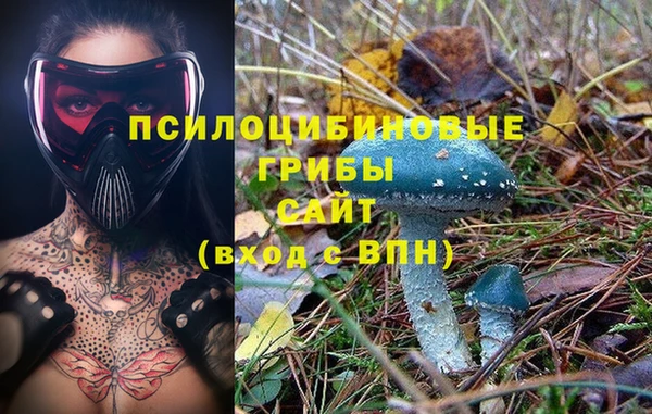 твердый Алзамай