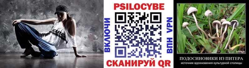 hydra как войти  магазин  наркотиков  Каргат  Галлюциногенные грибы мухоморы 